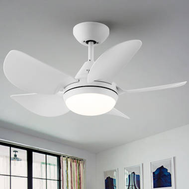 POLYECO 30'' Ceiling Fan with LED Lights | Wayfair